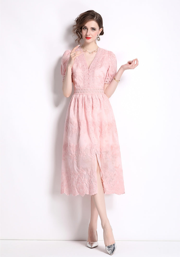 Embroidered V-neck Lace Trim Elegant Dress