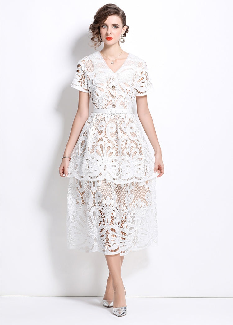 Lace Embroidered Mid-length Dress