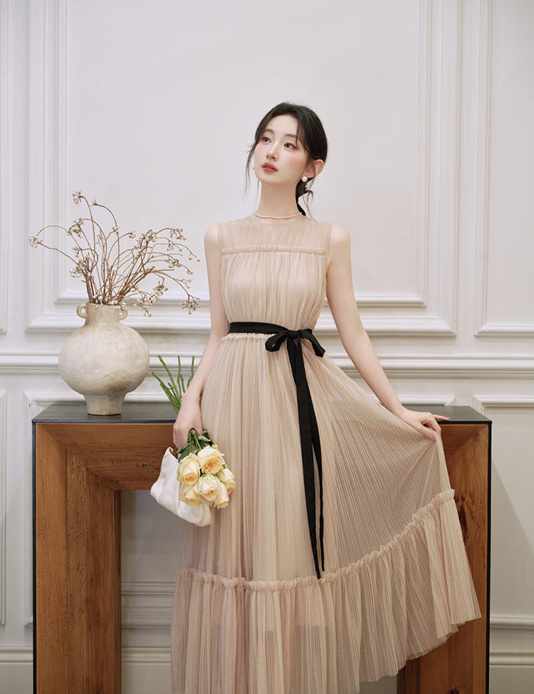 Colette French Chic Pleated Mesh Maxi Dress
