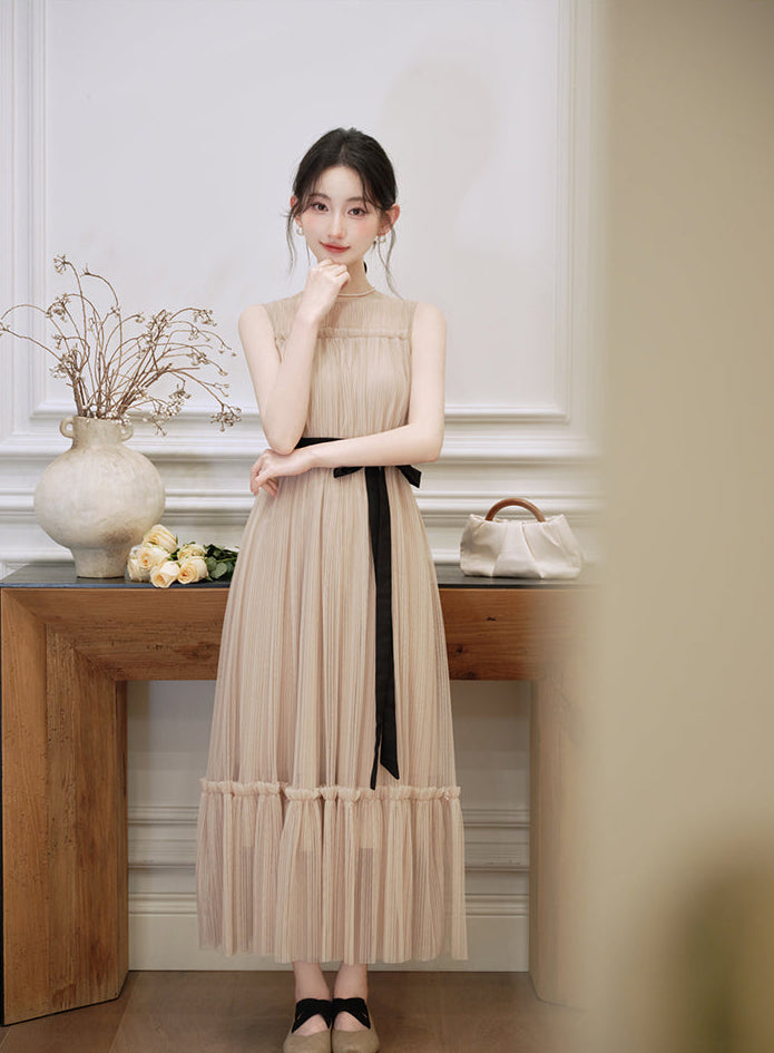 Colette French Chic Pleated Mesh Maxi Dress