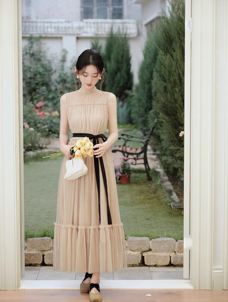 Colette French Chic Pleated Mesh Maxi Dress