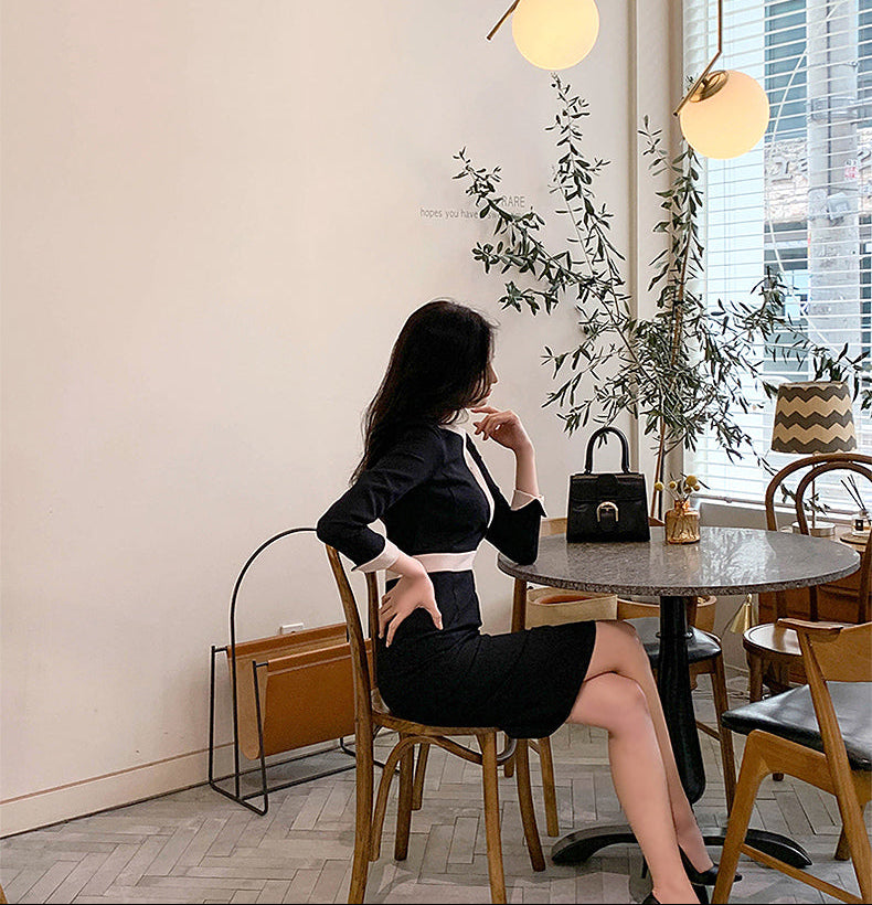 Elegant Long Sleeve V-Neck Contrast Trim Sheath Dress