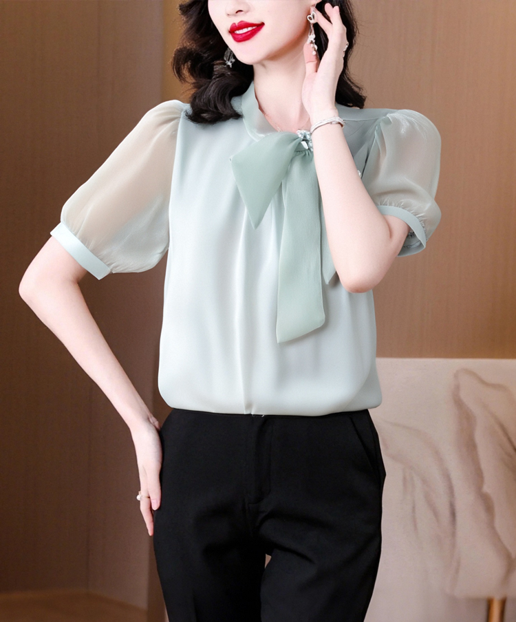 Elegant Bow-Tie Mock Neck Chiffon Blouse With Puff Sleeves